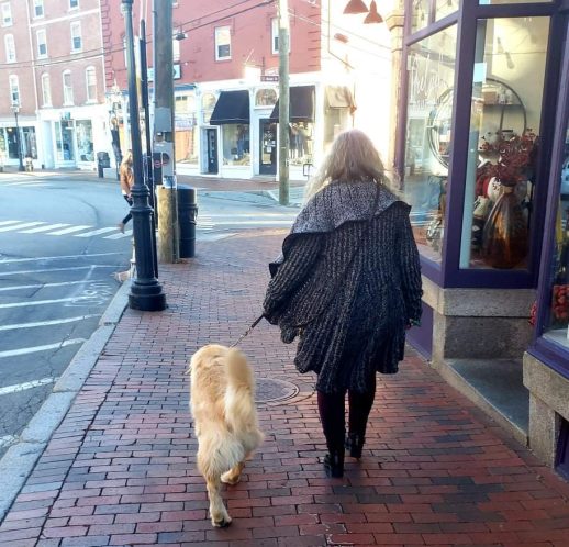 Walking Adolescent Golden Retriever in the City